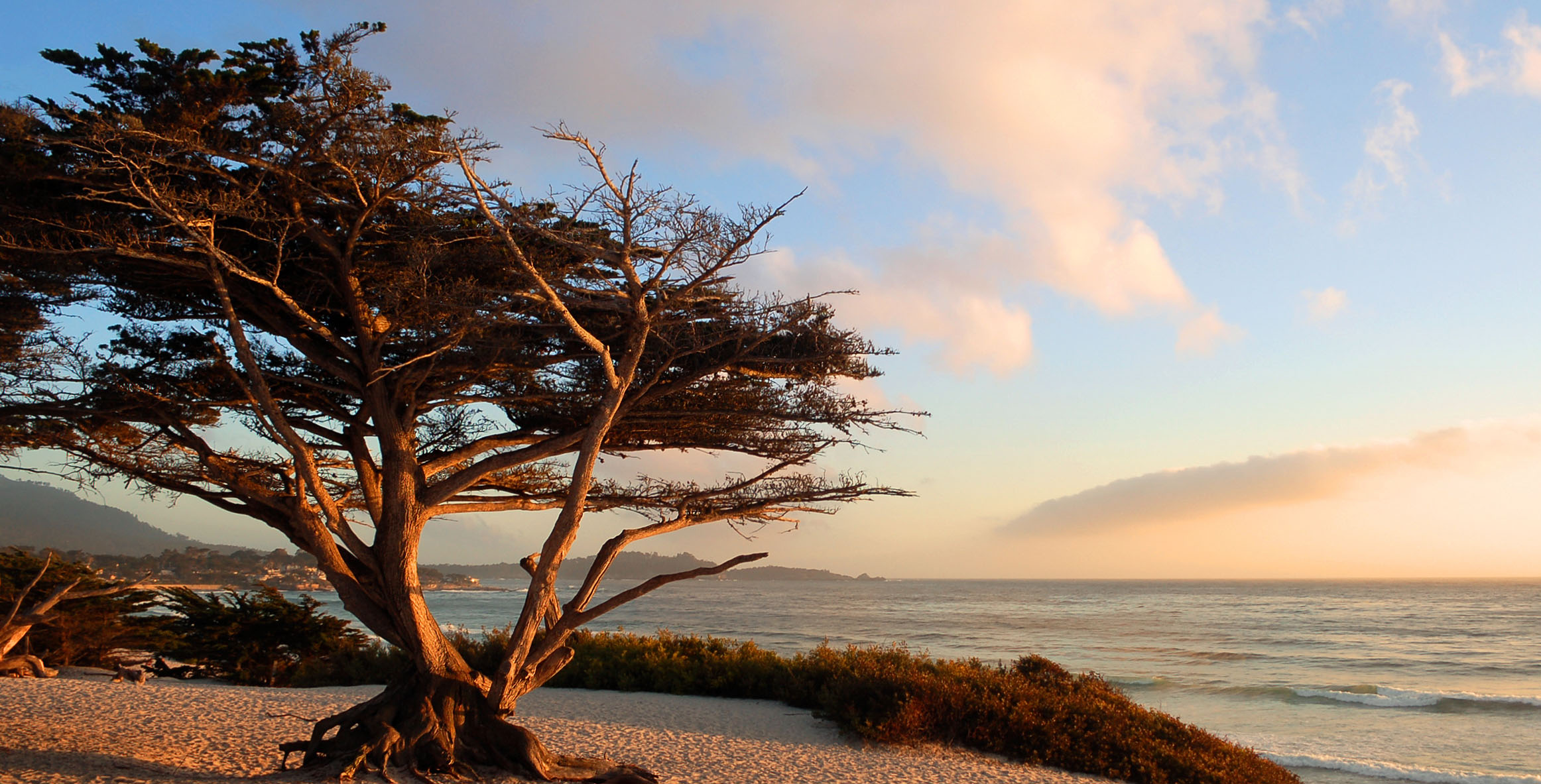 OUR MONTEREY MOTEL IS MINUTES FROM HIGHWAY 1 AND DOWNTOWN MONTEREY