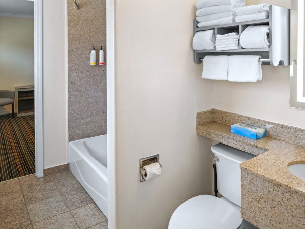 A small hotel bathroom with a toilet, sink, granite counter, and wall-mounted towels; a shower/tub combo is visible in the background.