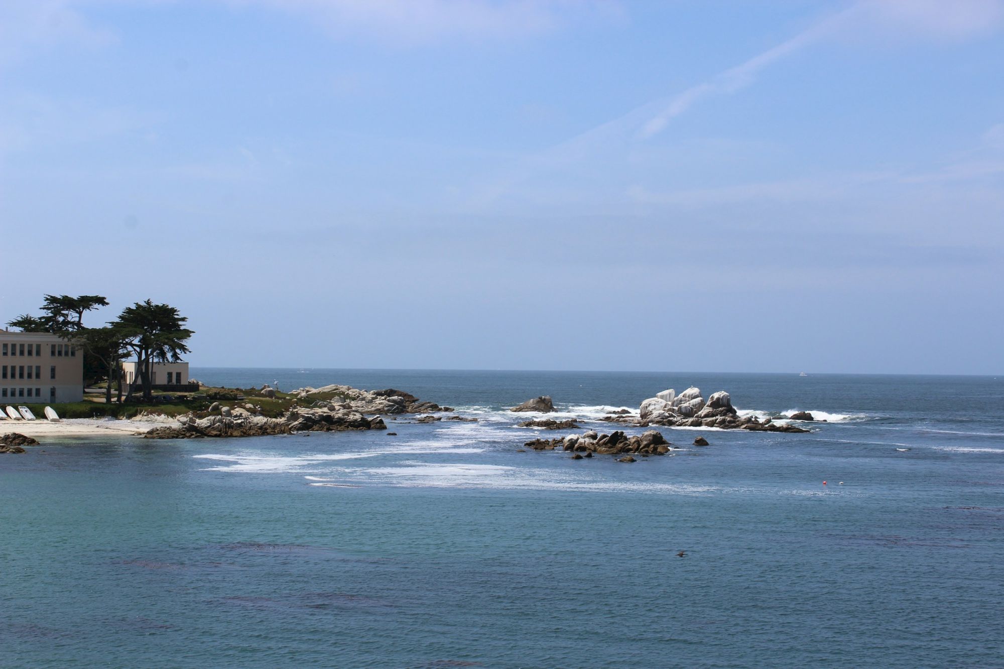 A coastal scene with calm blue water, rocky outcrops, and a small cluster of trees on a rocky ledge near the shore, under a clear sky.