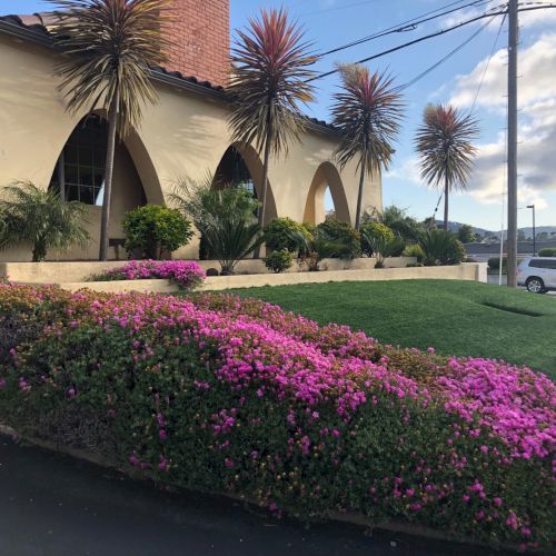 A sunny suburban street with a beige two-story house, a low stone wall, vibrant pink flowers, and a clear blue sky with a few clouds.